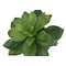 Monarch Specialties Artificial Plant 6" Tall Succulent, Indoor, Faux, Fake, Table, Greenery, Potted Set Of 2, Decorative I 9586 - alternate 3